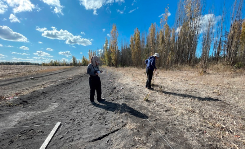 Captura de pantalla 2026 01 09 a las 2.34.48 a.m