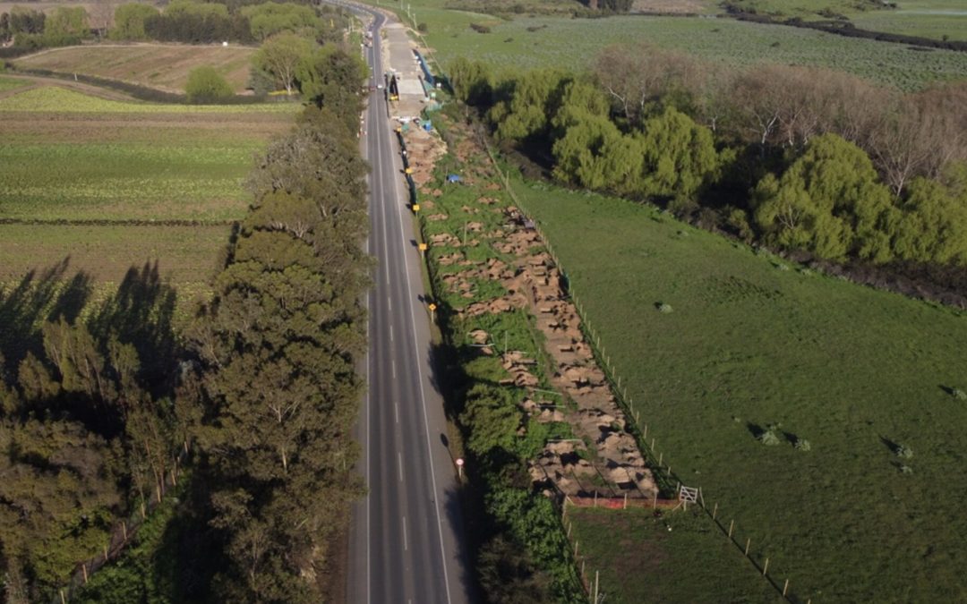 Proyecto Relicitación Camino Nogales–Puchuncaví